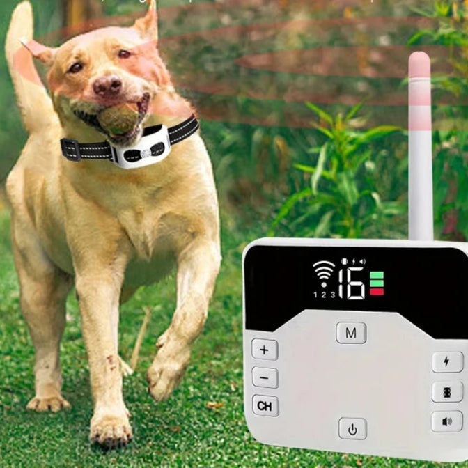 TailZone | Avanceret Trådløst