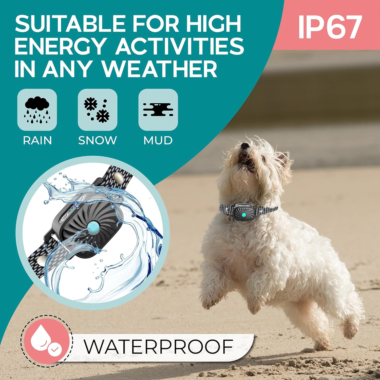 BarkEase | Blid Træningshalsbånd til Små