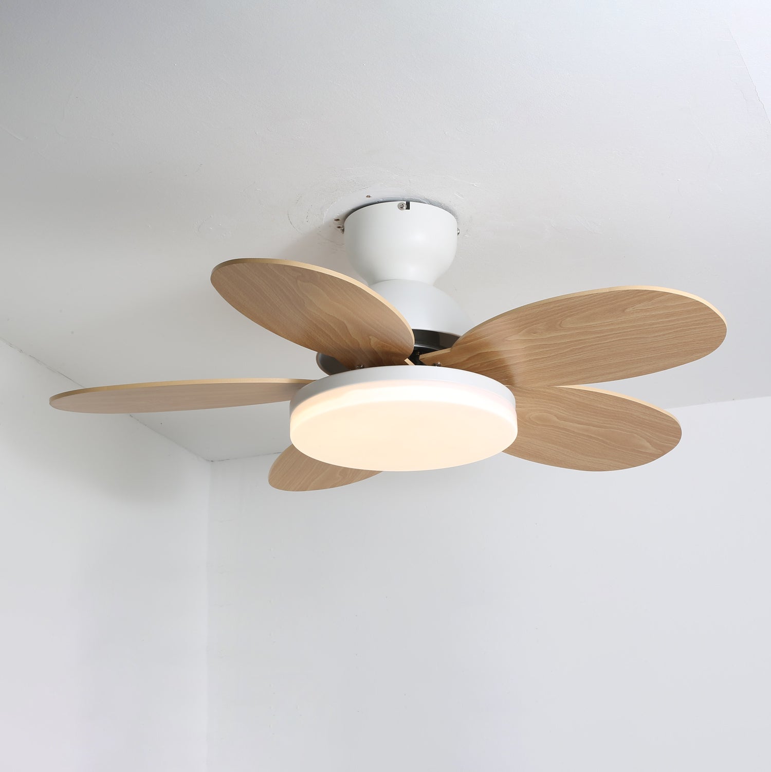Maude | Ceiling Fan Light
