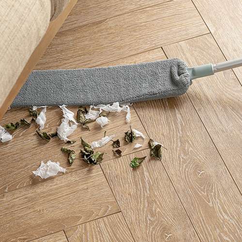 Teleskopisk støvbørste sæt med