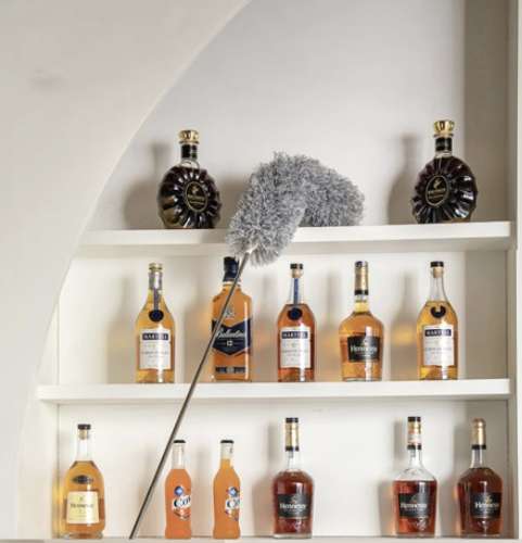 Teleskopisk støvbørste sæt med