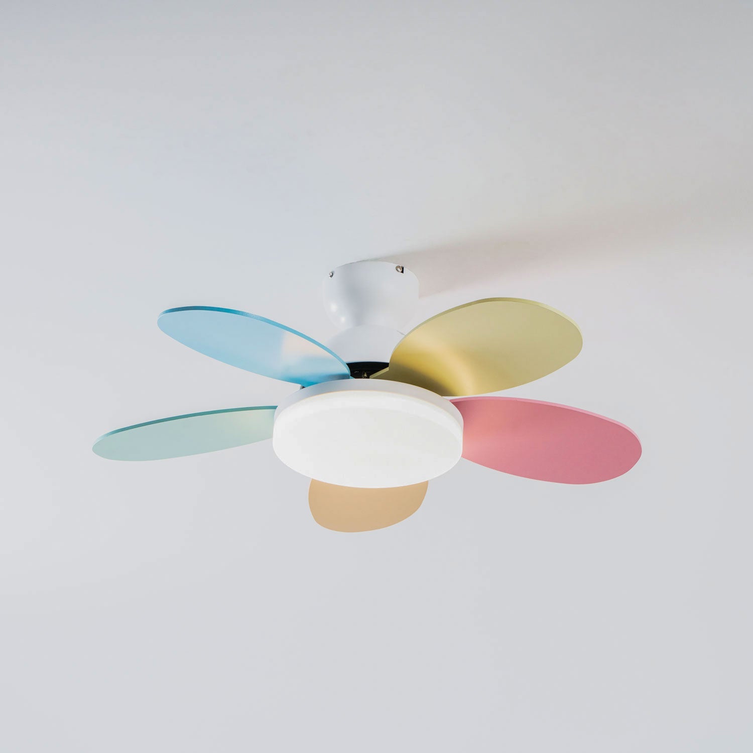 Maude | Ceiling Fan Light