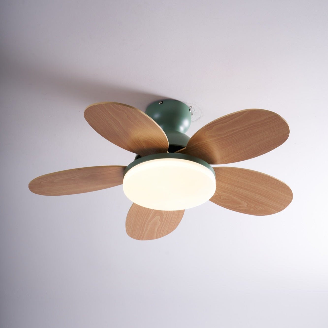 Maude | Ceiling Fan Light
