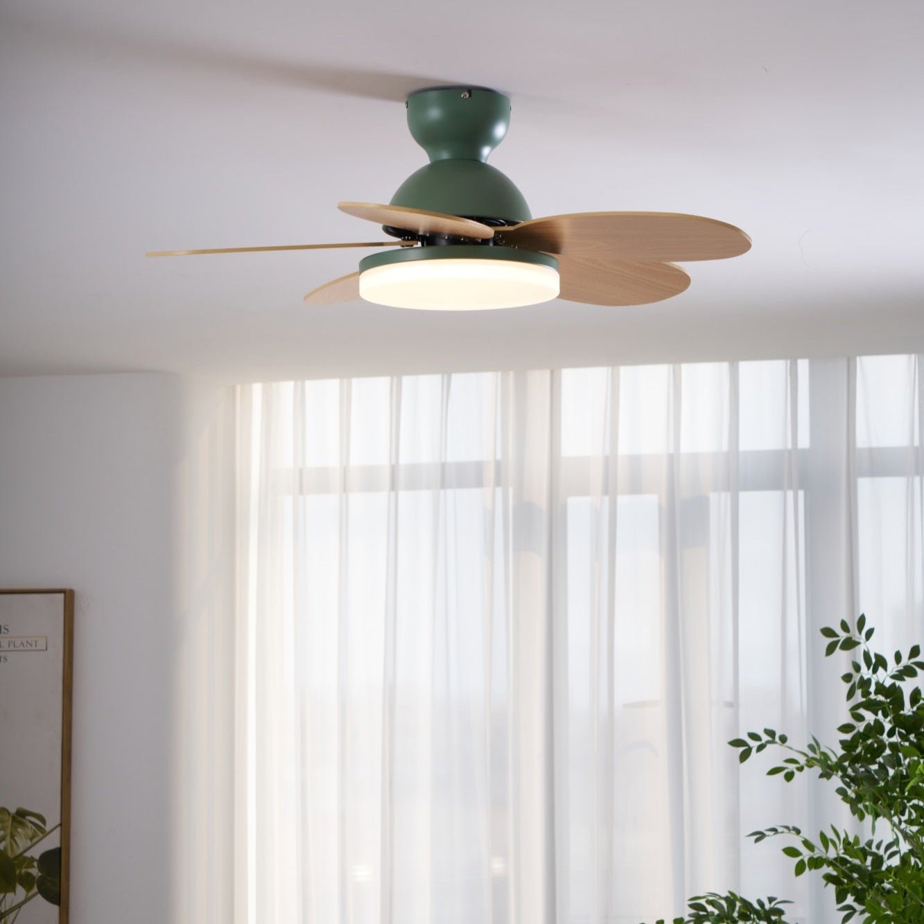 Maude | Ceiling Fan Light