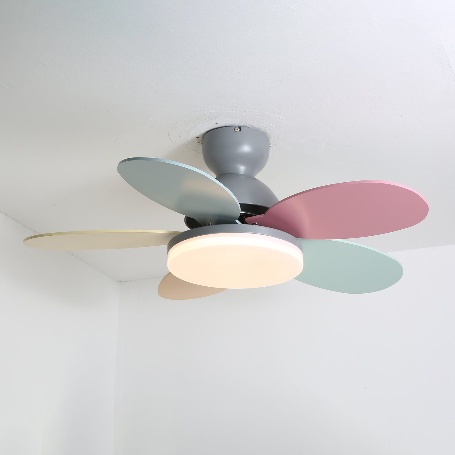 Maude | Ceiling Fan Light