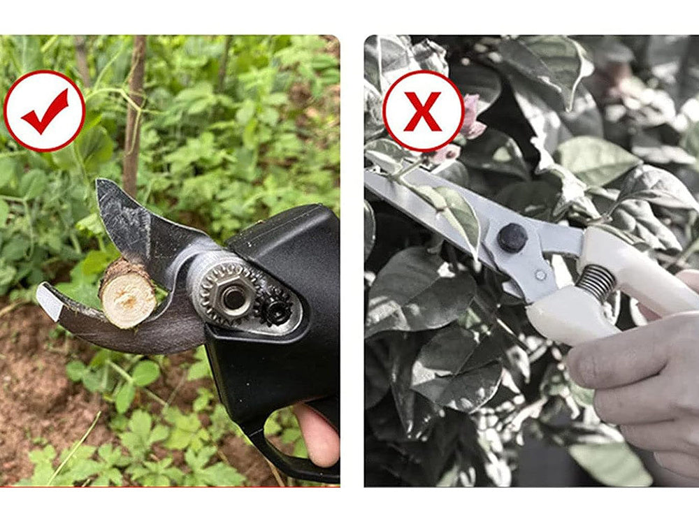 Trådløs Elektrisk saks til Beskæring med Kraftige Sakse